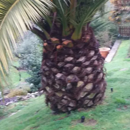 Casa Das Pires *
